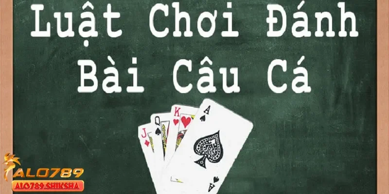 Quy tắc chơi bài câu cá cơ bản cho người chơi