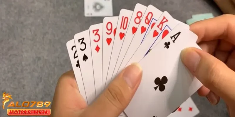 Có nên biết về cách chơi bài câu cá không?