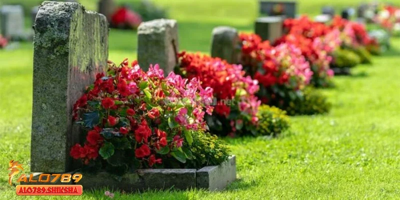 Giấc mơ thấy mộ và yếu tố tâm linh huyền bí