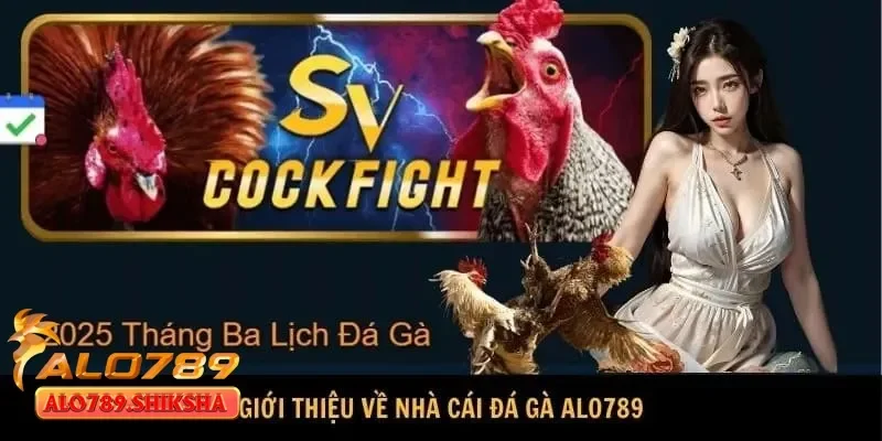 Hướng dẫn xử lý sự cố khi không thể đăng nhập alo789