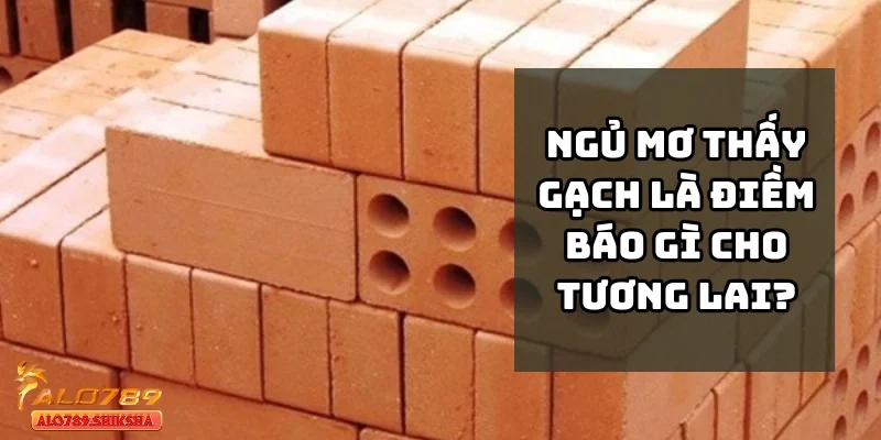 Bí ẩn sau ngủ mơ thấy gạch là điềm báo gì cho tương lai?